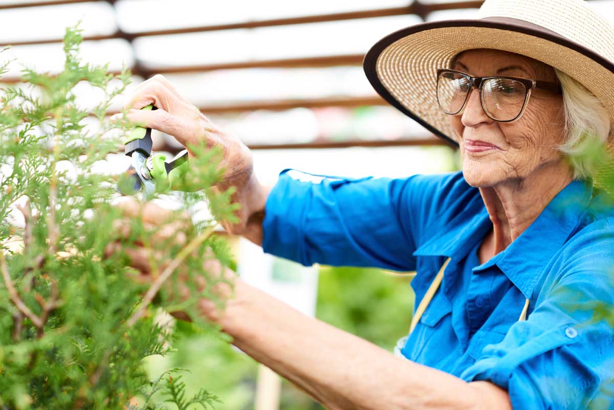 Le jardinage comme activité à domicile pour senior