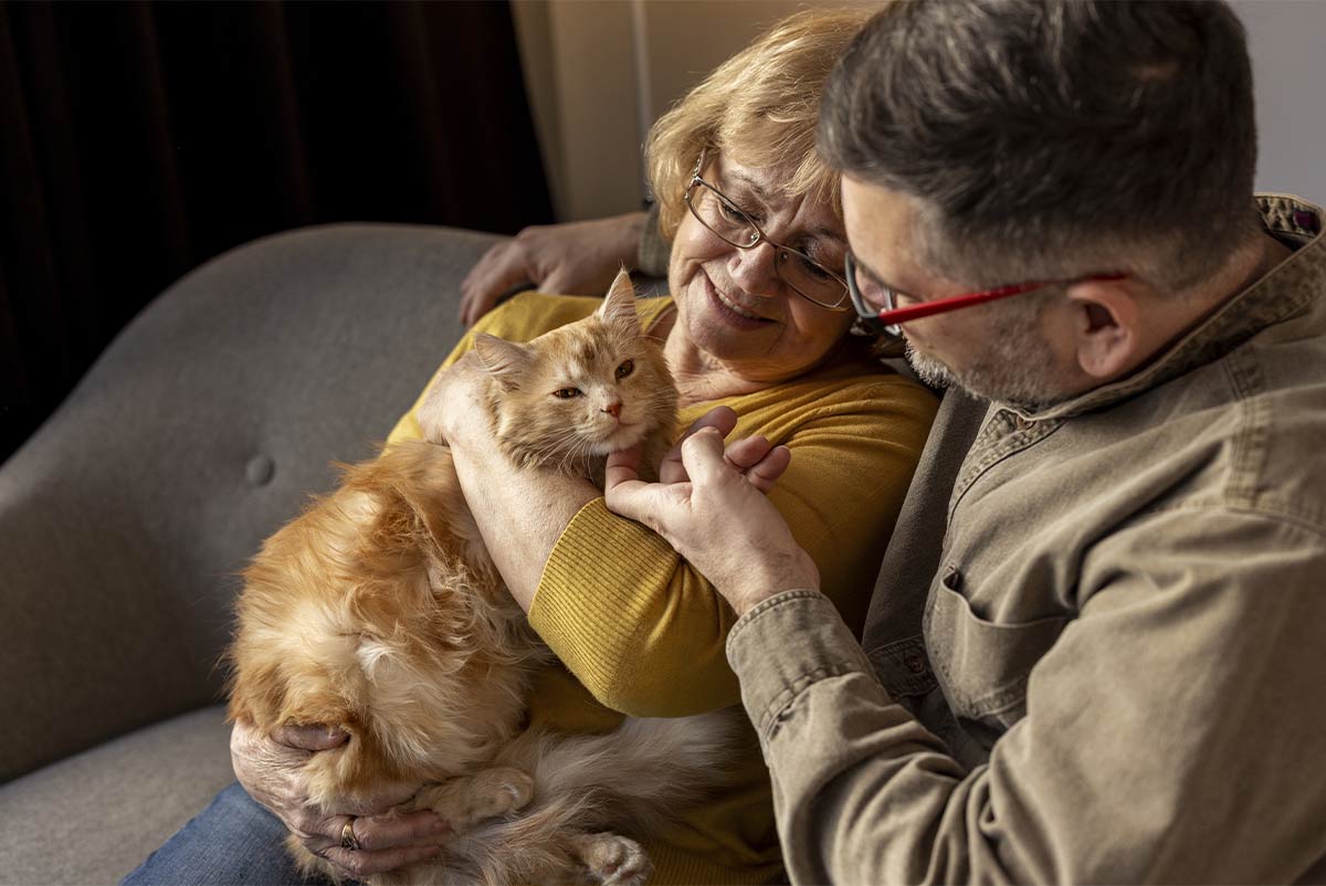 Seniors caressant un chat